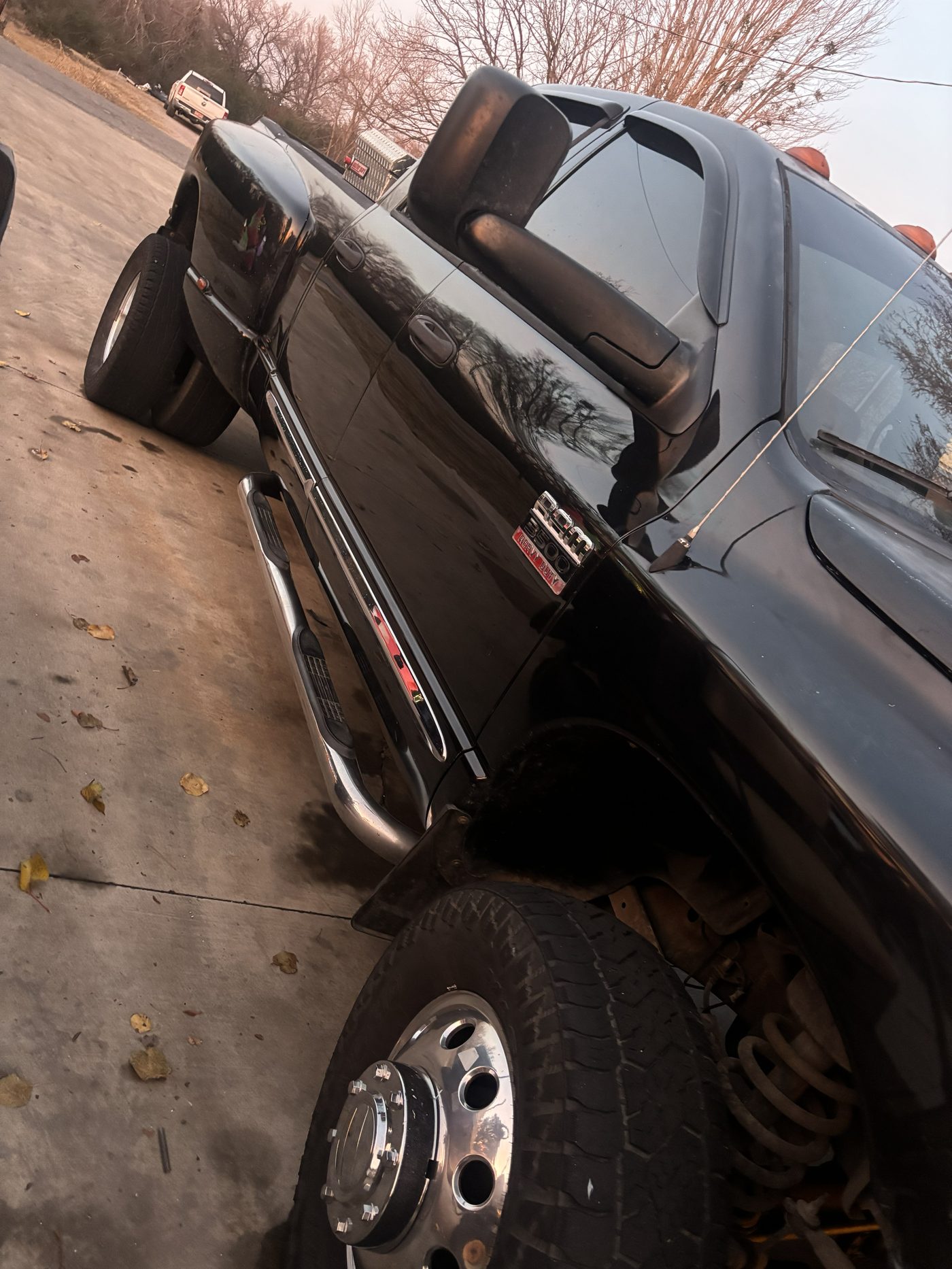 Ram Rebel after detail